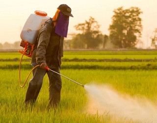 Умови застосування сумішей пестицидів для захисту сільгоспкультур